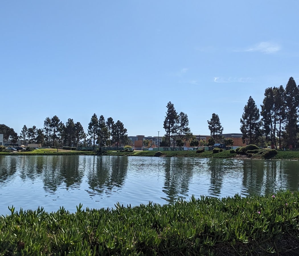 Redwood Shores Lagoon 2