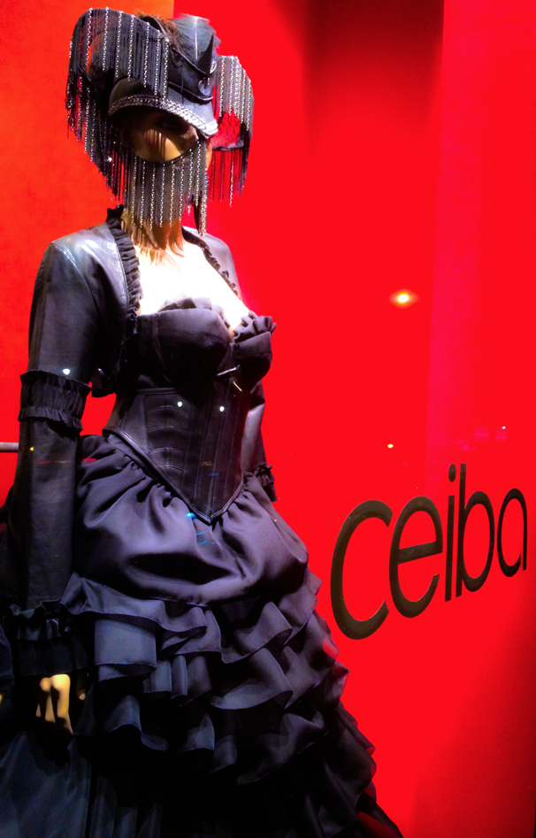 Ceiba SF 1
