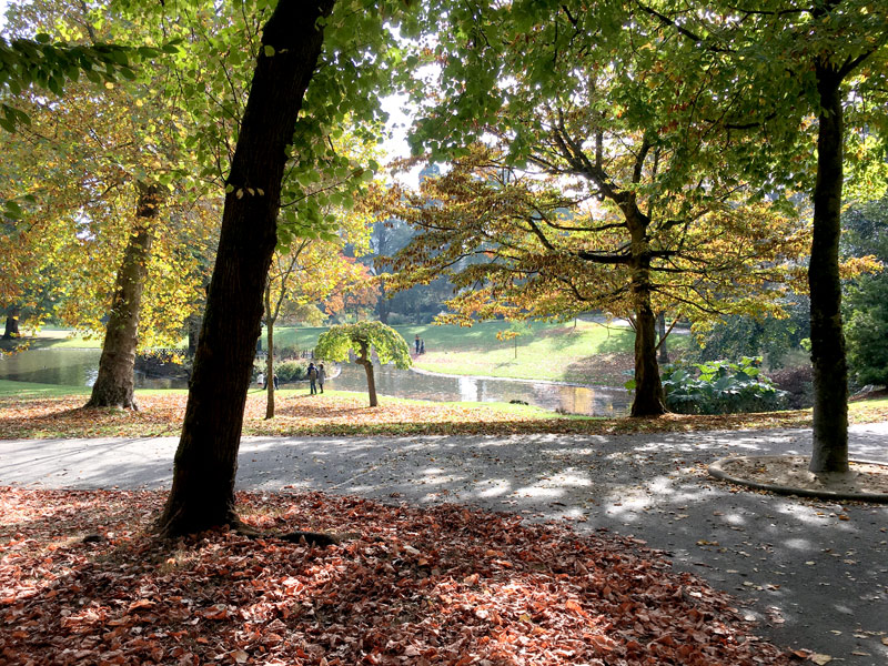 Parc de Procé 2