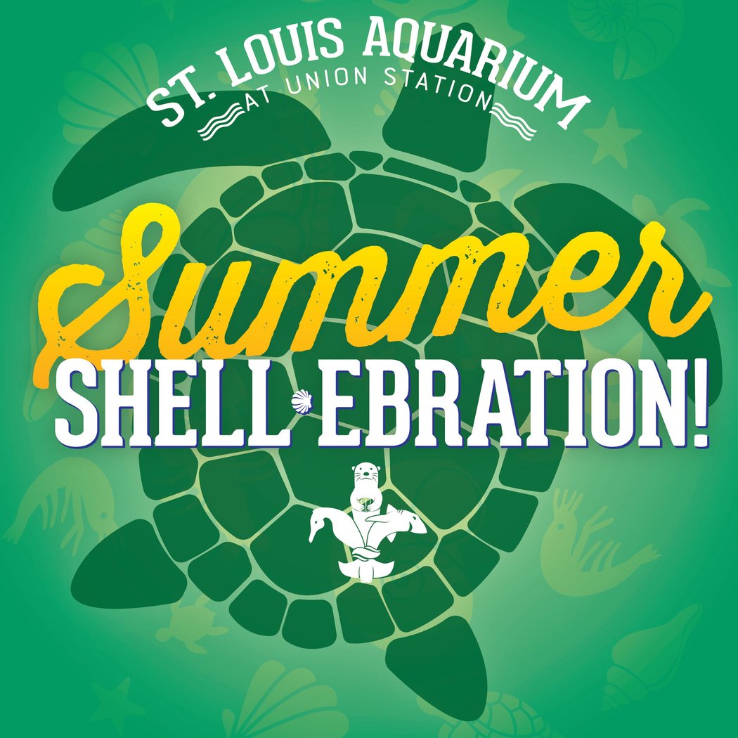 Summer Shell-ebration 1