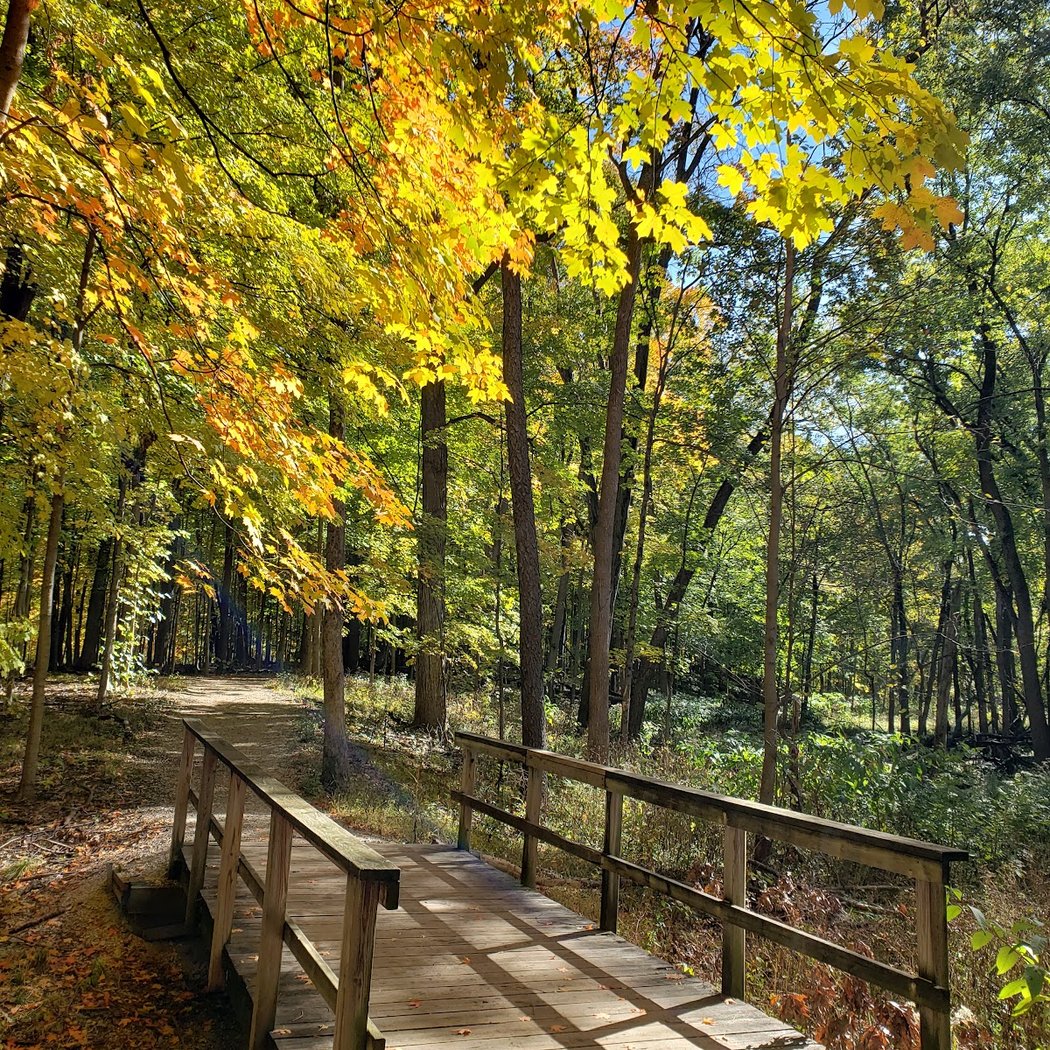 River Trail Nature Center 1