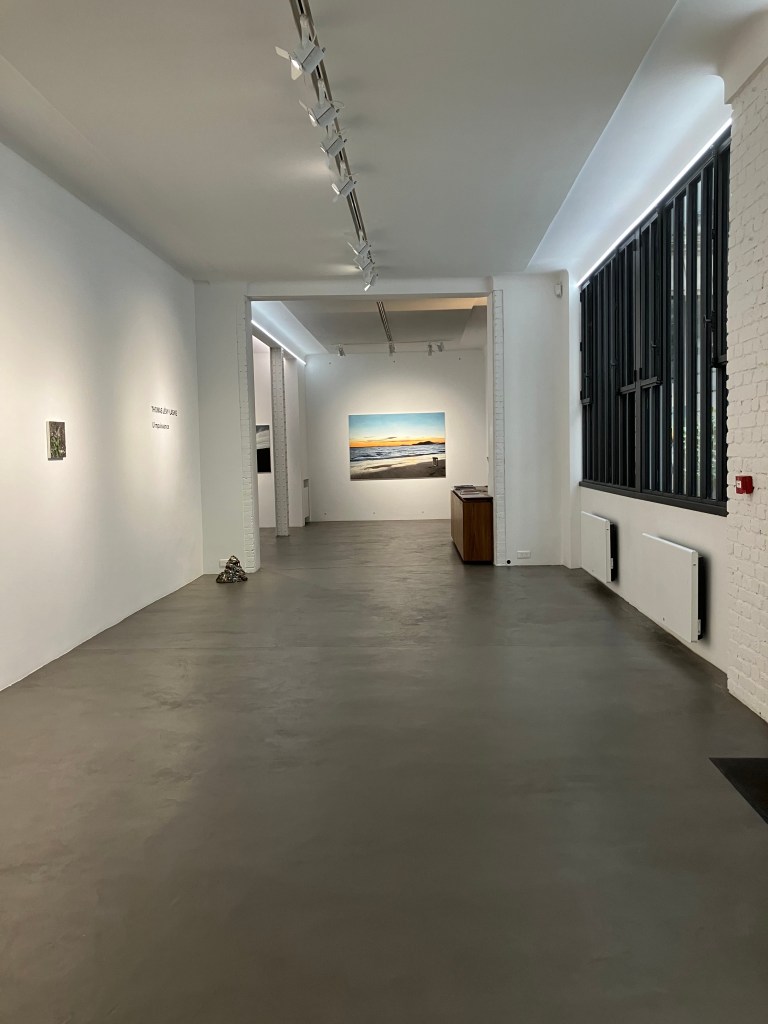 Thomas Levy-Lasne Exhibition 2