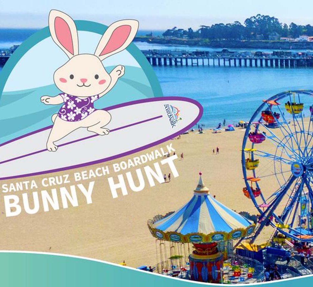 Surfing Bunny Scavenger Hunt 3