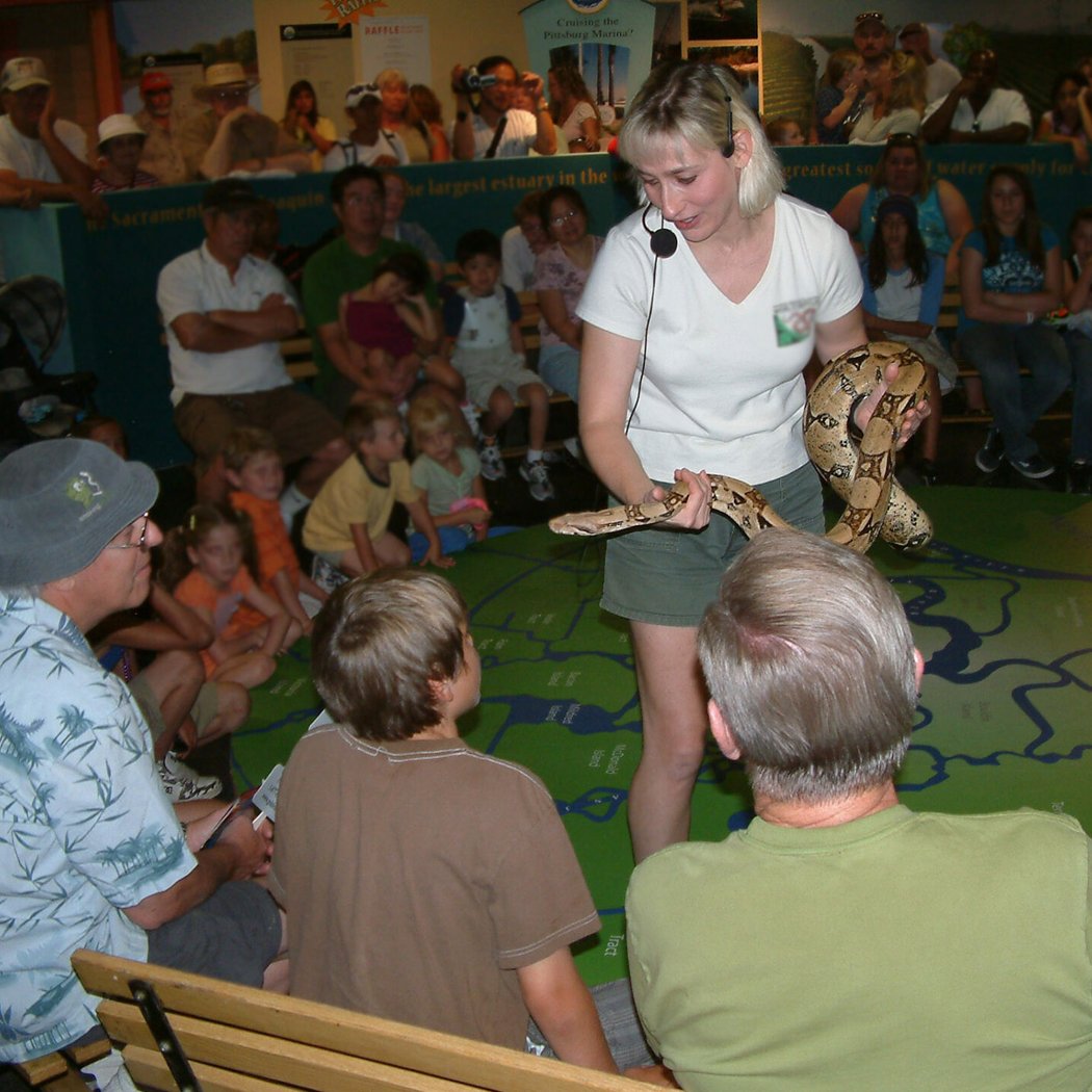 Live Animal Talks 1