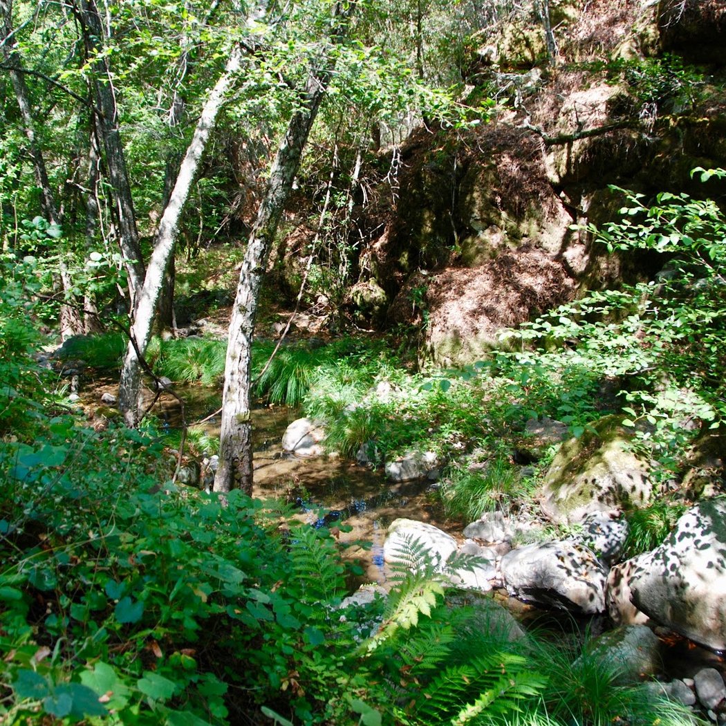 Bouverie Preserve 3