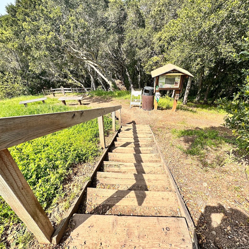 Ed Taylor Loop Trailhead 3