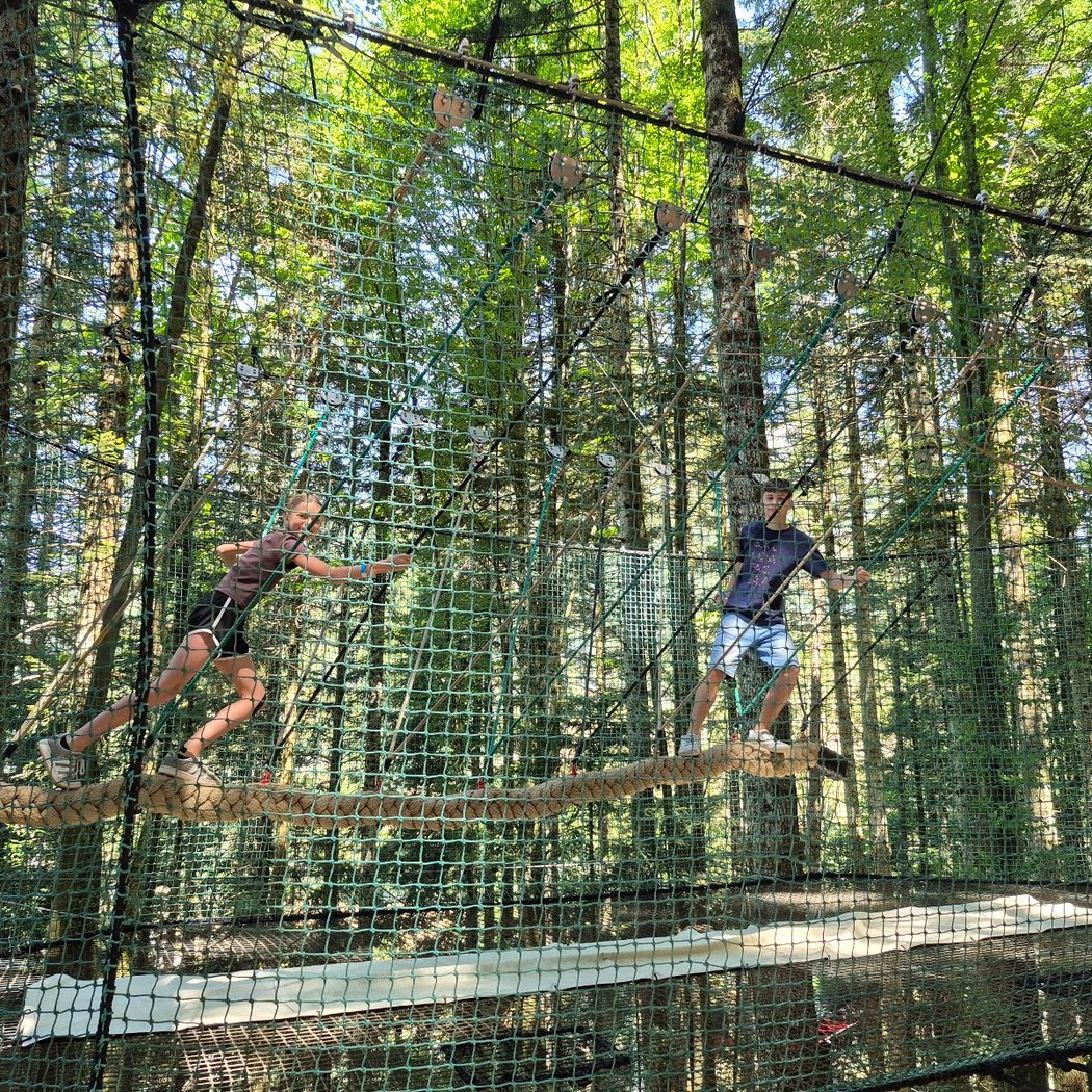 Le Pays Suspendu des Géants : filets suspendus dans les arbres 3