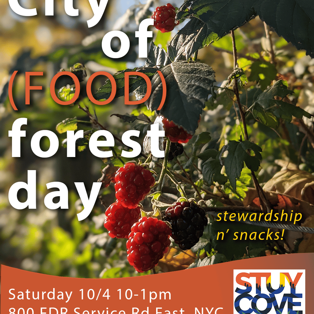 City of (Food) Forest Day 1