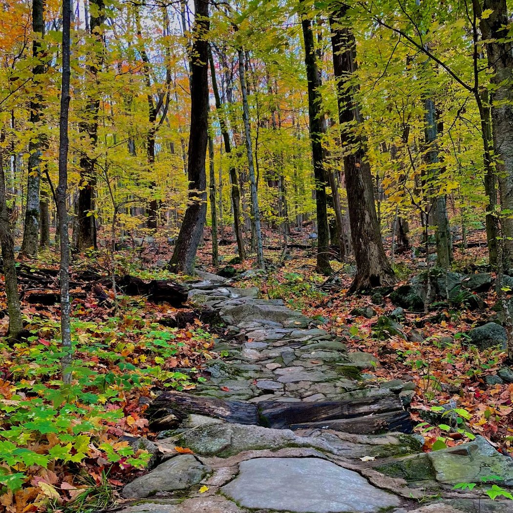 Bromont Summits Park 1