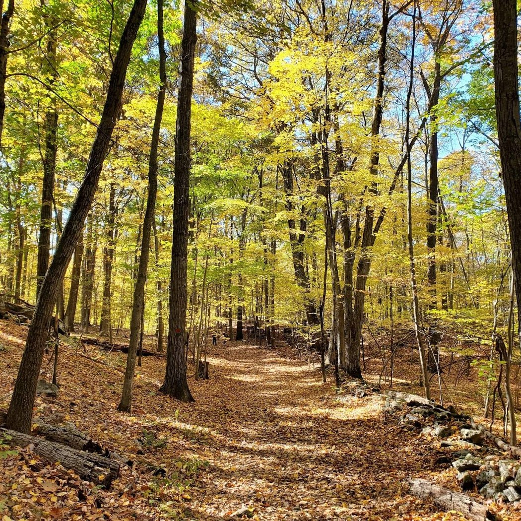 Ward Pound Ridge Reservation 1