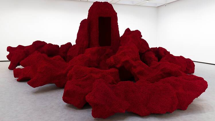 Anish Kapoor 3