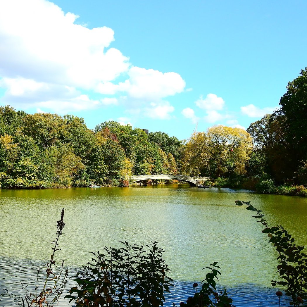 Western Shore Boat Landing 3