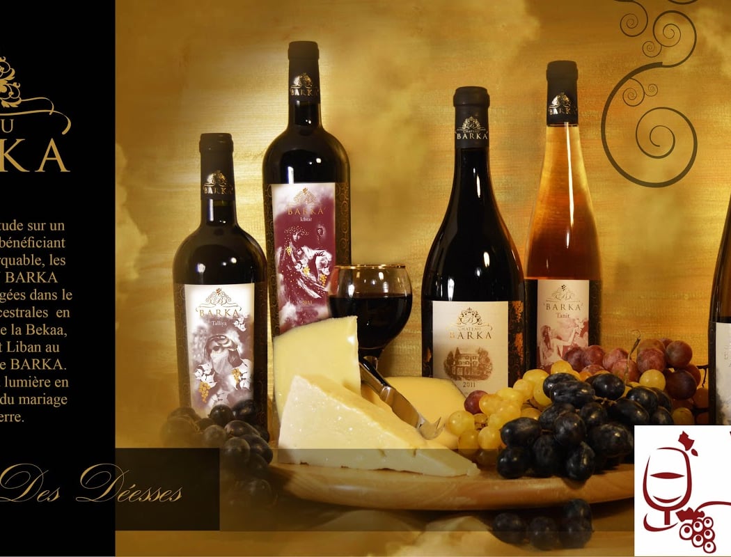 Vinex France 1