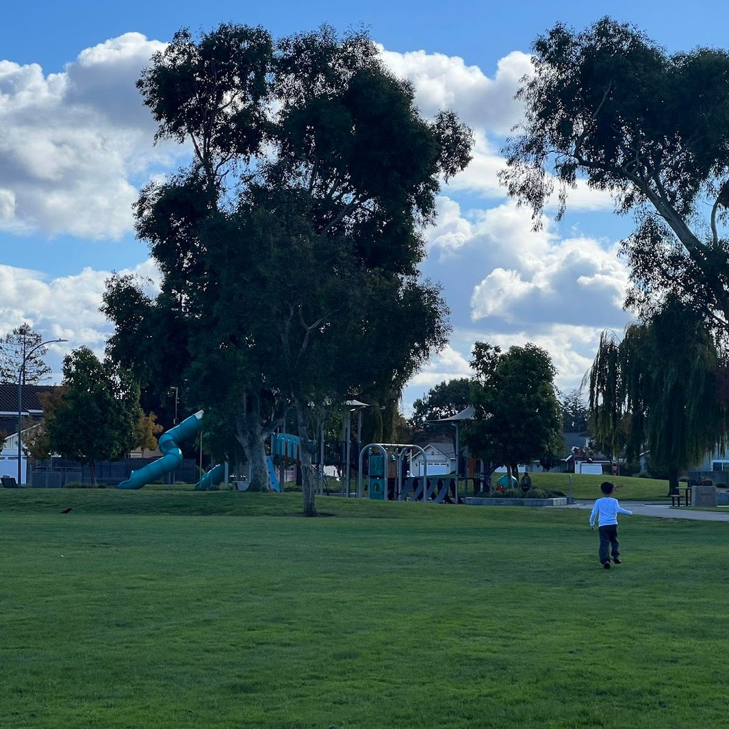 Playground | Laurie Meadows 2