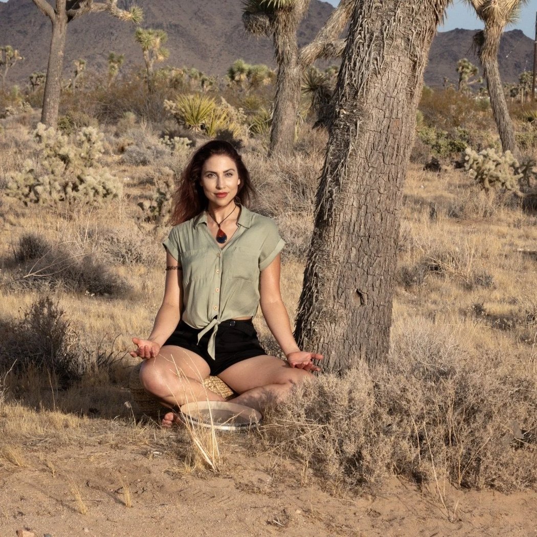 Heart Coherence: Self-Hypnosis & Somatic Flow Workshop 2