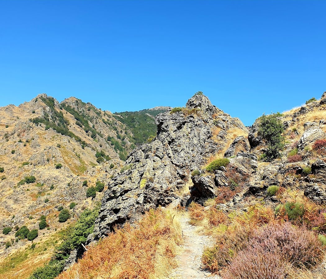 Sentier des 4000 Marches 1