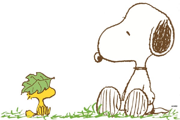 Peanuts Naturally Festivals 2