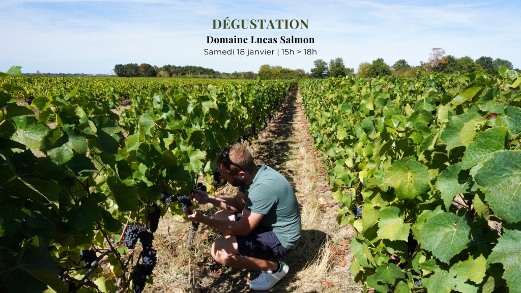 Dégustation des cuvées de Mickaël Salmon 1