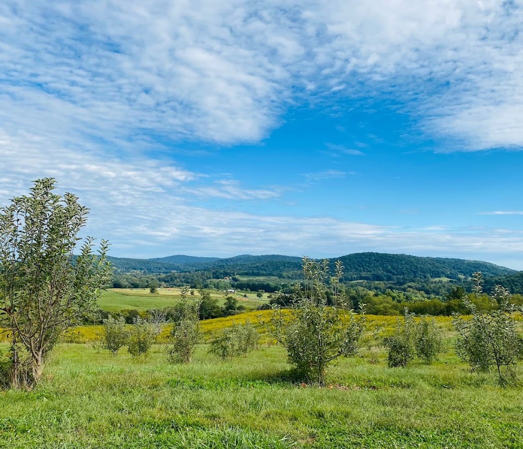 Hartland Orchard 1