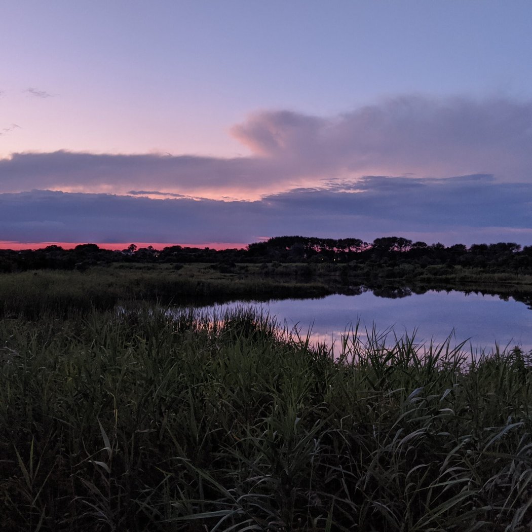 Twilight Walk at the Meadows 3