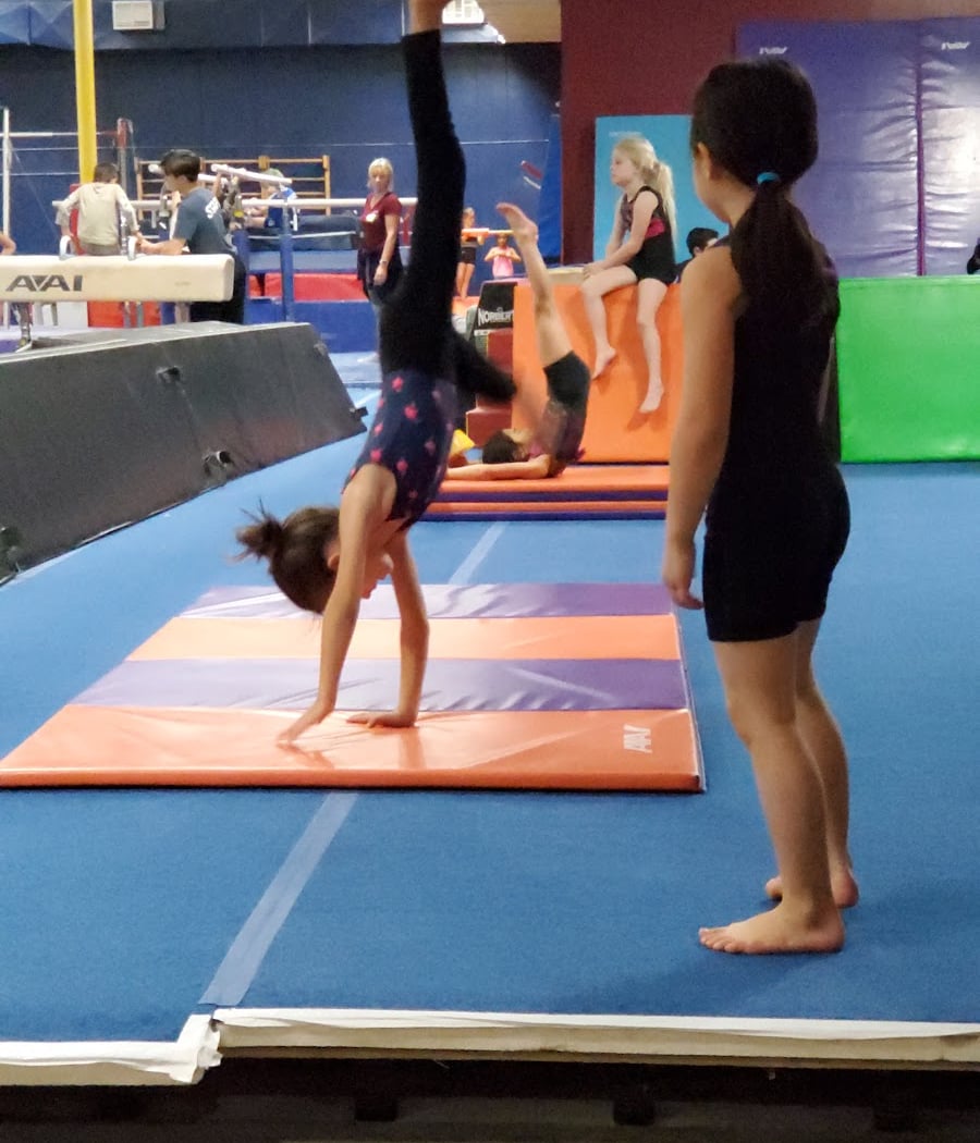 Novato Gymnastics Center 1