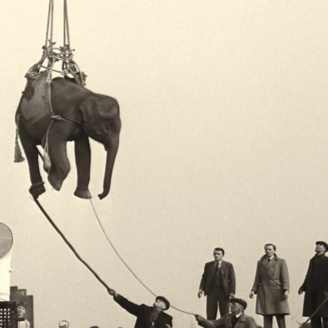 Albertine French Film Festival: Soundtrack to a Coup d'État 1