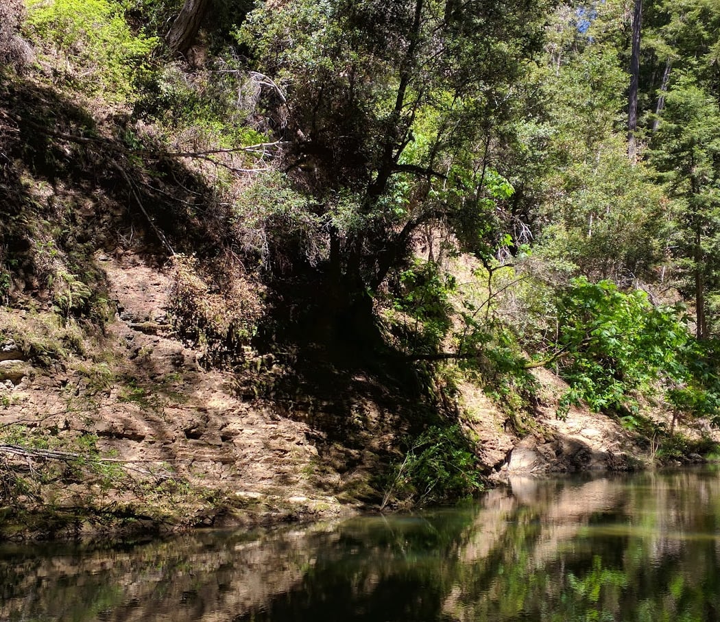 Point Group Camp, Portola Redwoods State Park 3