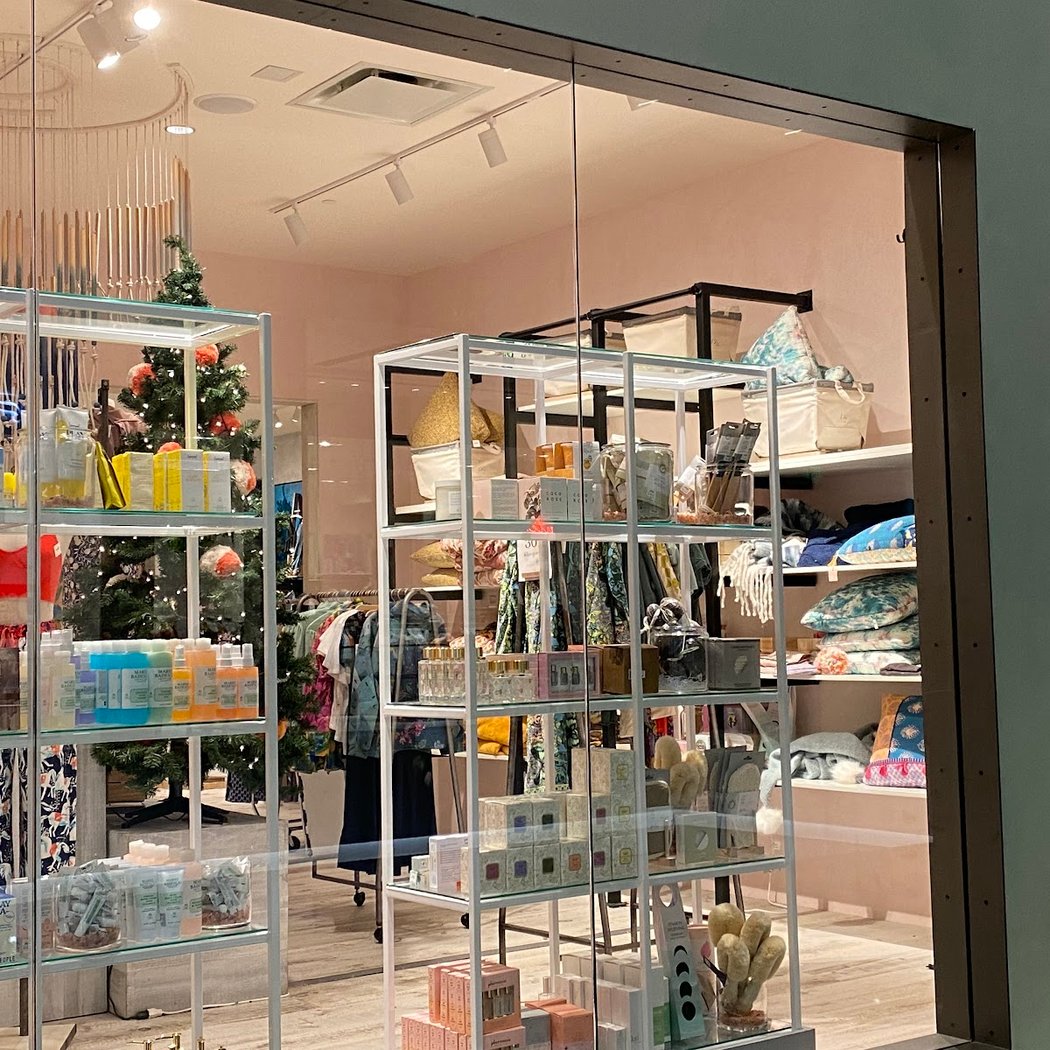 Anthropologie 3
