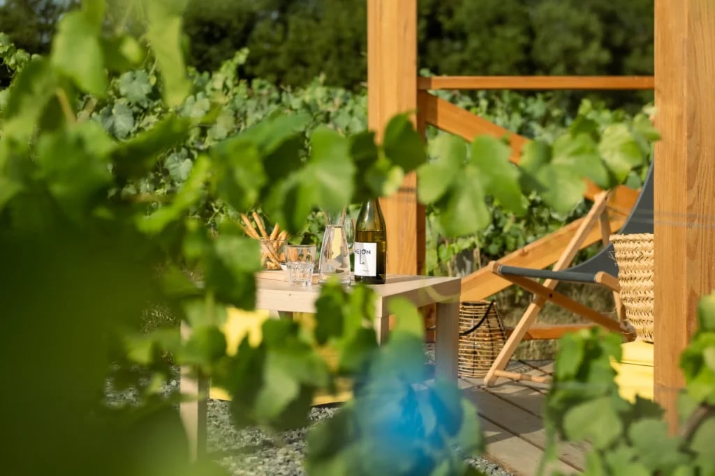 Vignoble Marchais - Le Chai de Thouaré sur Loire 2