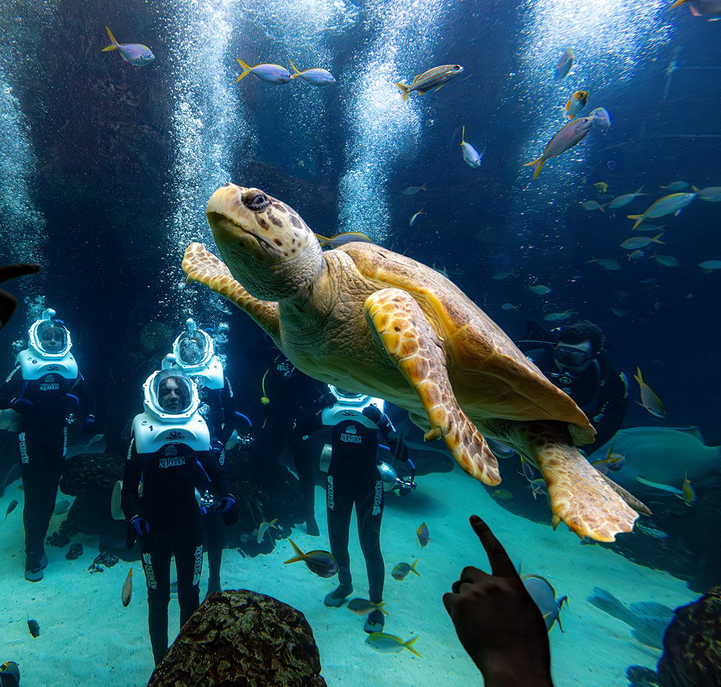 The Florida Aquarium 1