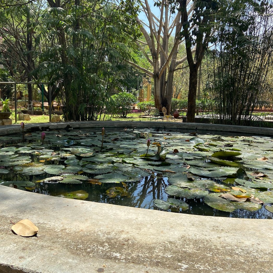 SIRI JEEVANA - WELLNESS WEEKEND 2