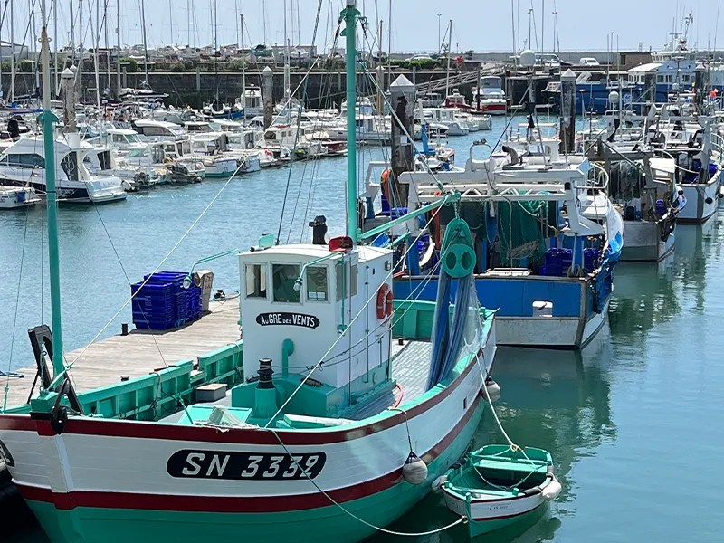 Marina of La Turballe 1
