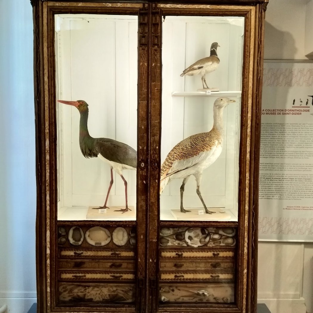 Musée de Saint-Dizier 3