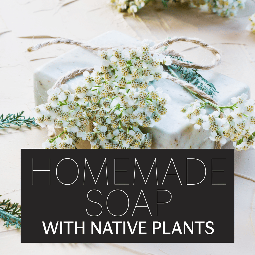 Homemade Soap with Native Plants 1
