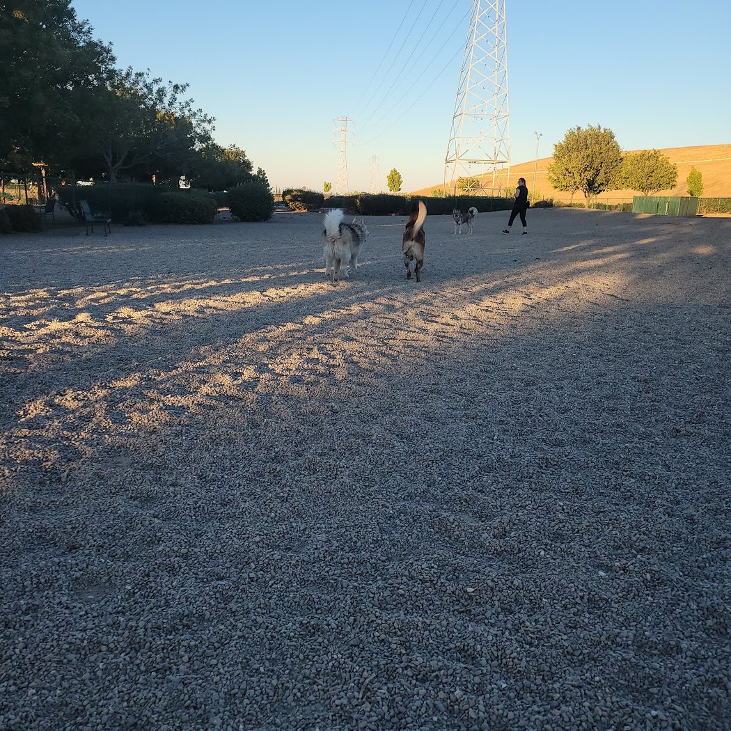 Markley Creek Dog Park 2