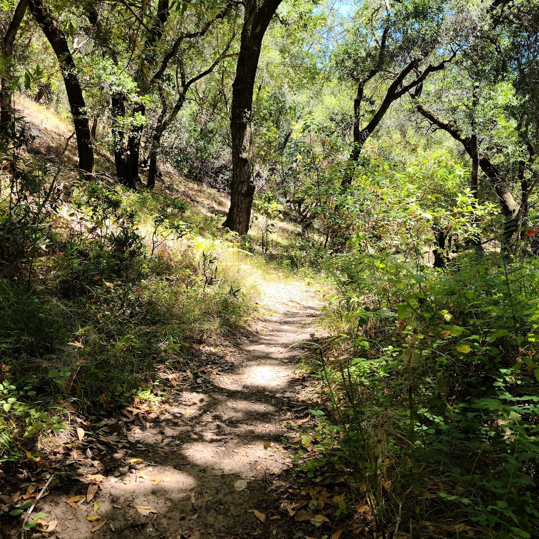 Marinwood Open Space 1