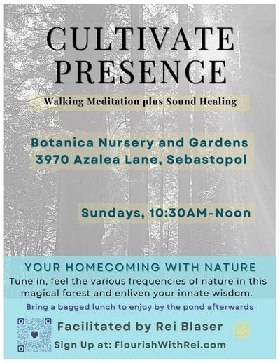 Meditation, Silent Walking, and Personal Introspection 1