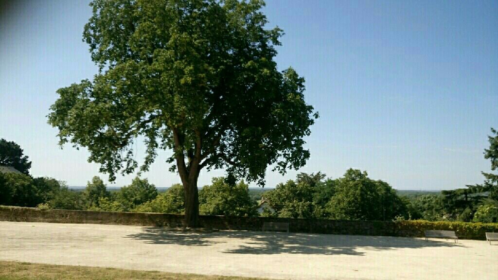 Couvent des Cordeliers 1