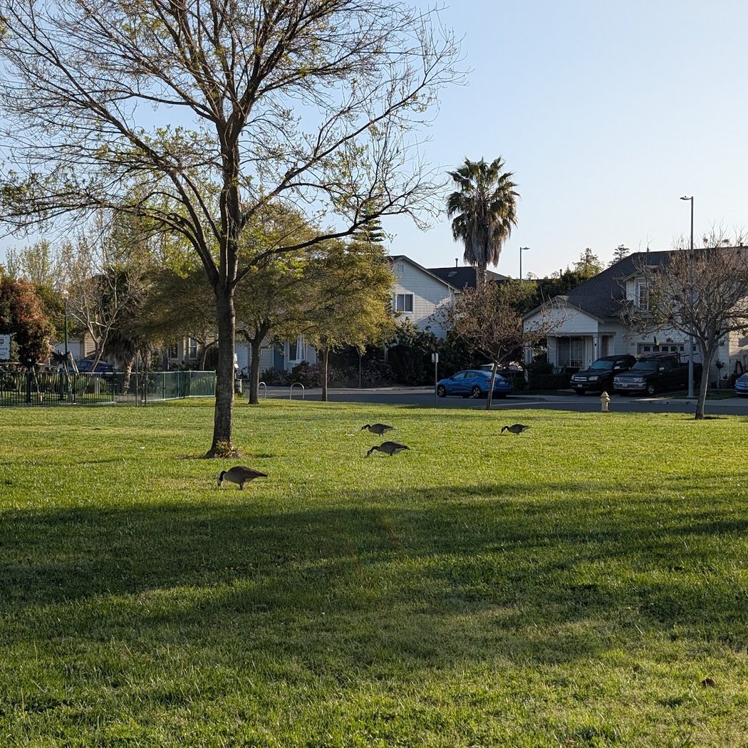 University Square Park 3