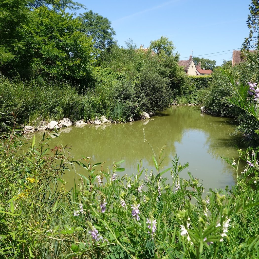 de Marnay sur seine Botanical Garden 2