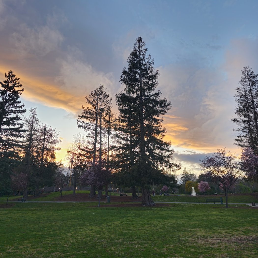 Central Park 1