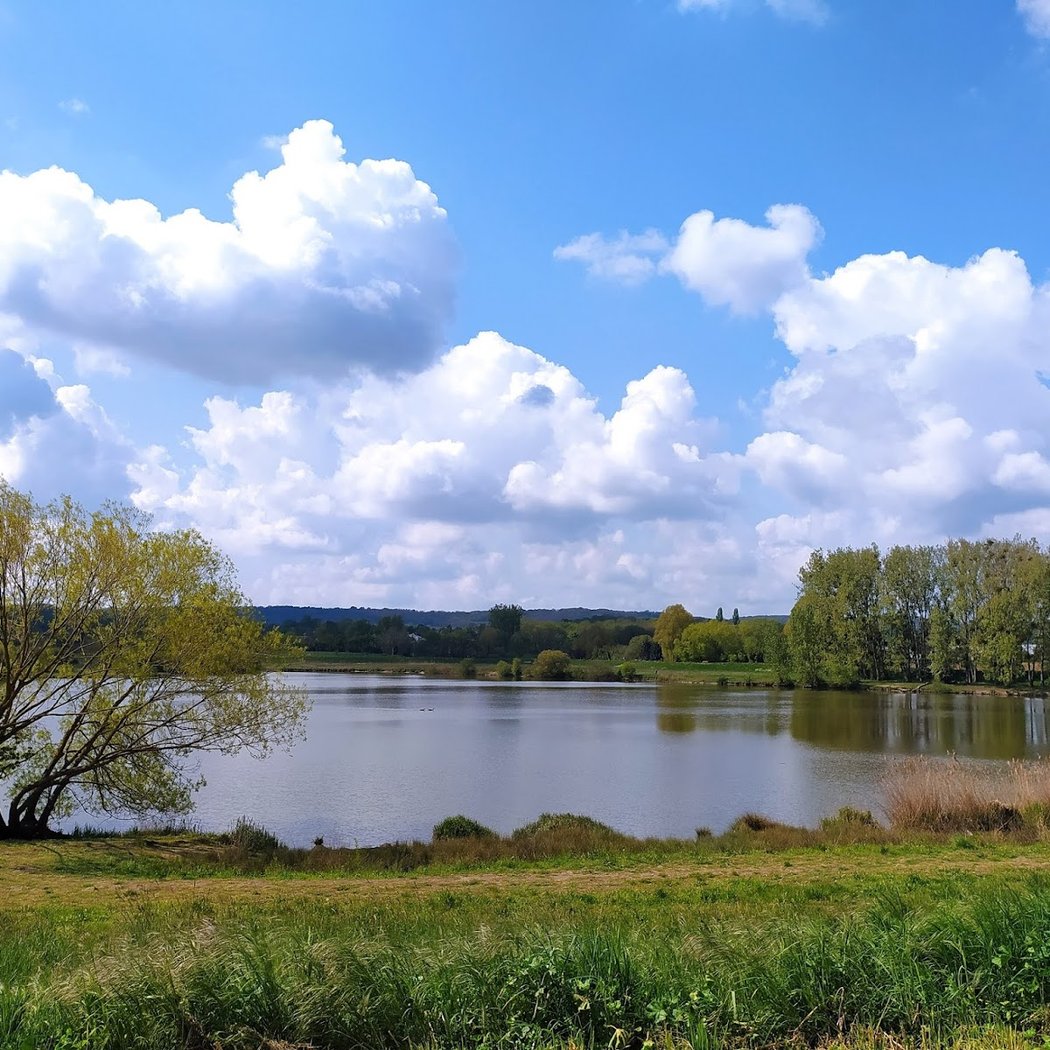 Lac de Saulx-Les-Chartreux 1