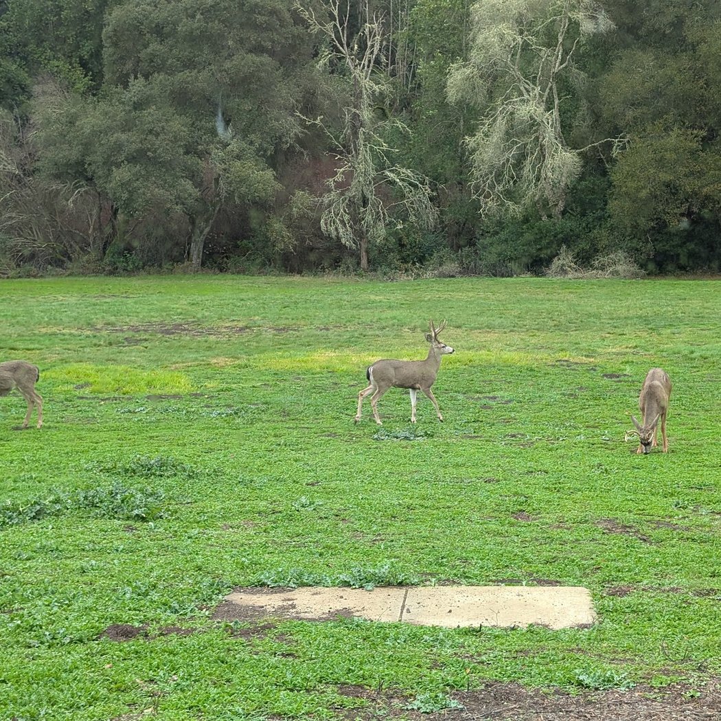 Volunteer Outside with Grassroots Ecology 3