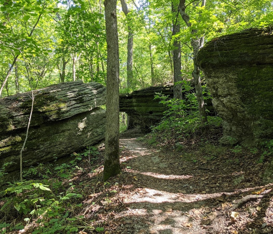 Burr Oak Woods Summer Solstice Hikes 2