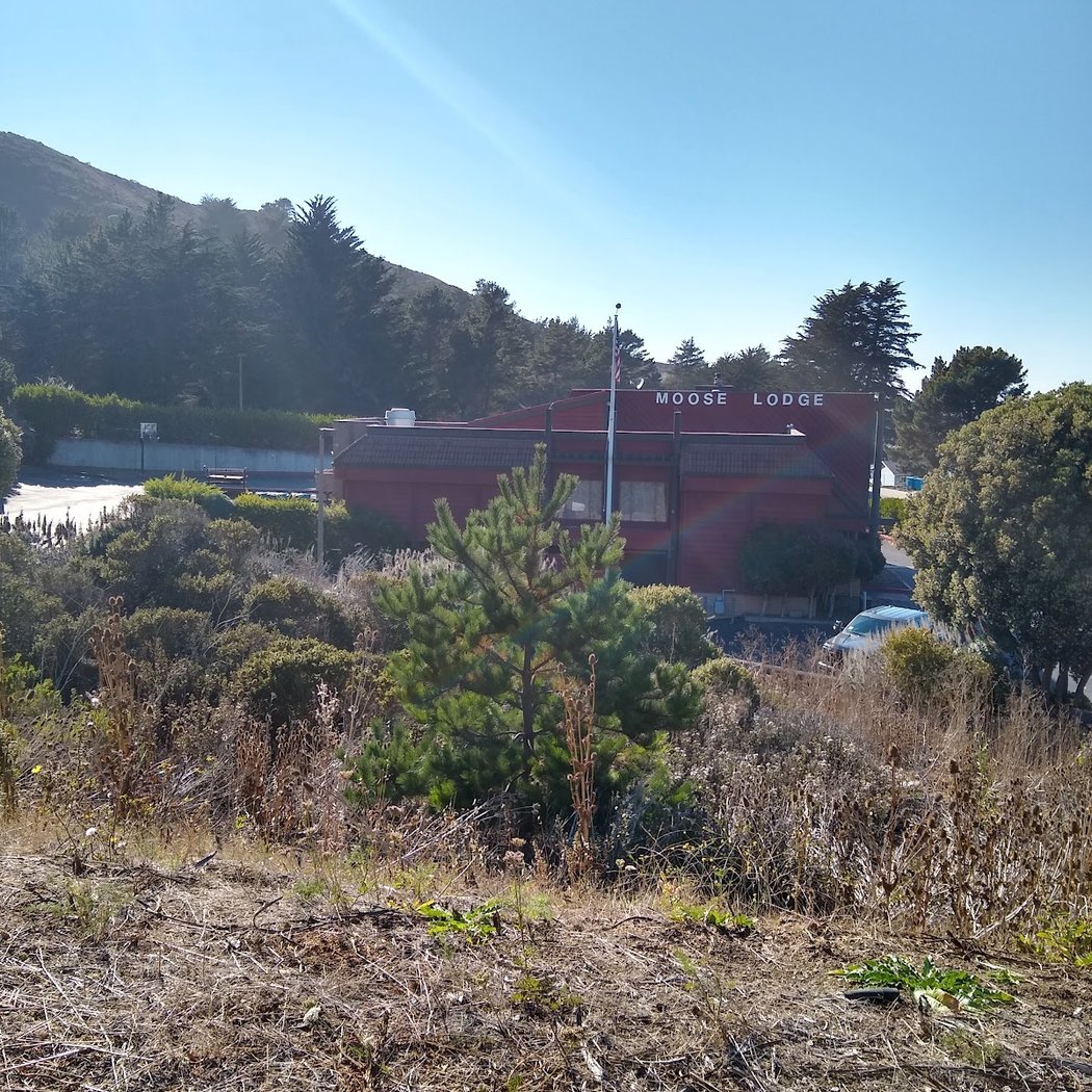 The Moose - Pacifica, CA Lodge 1944 2