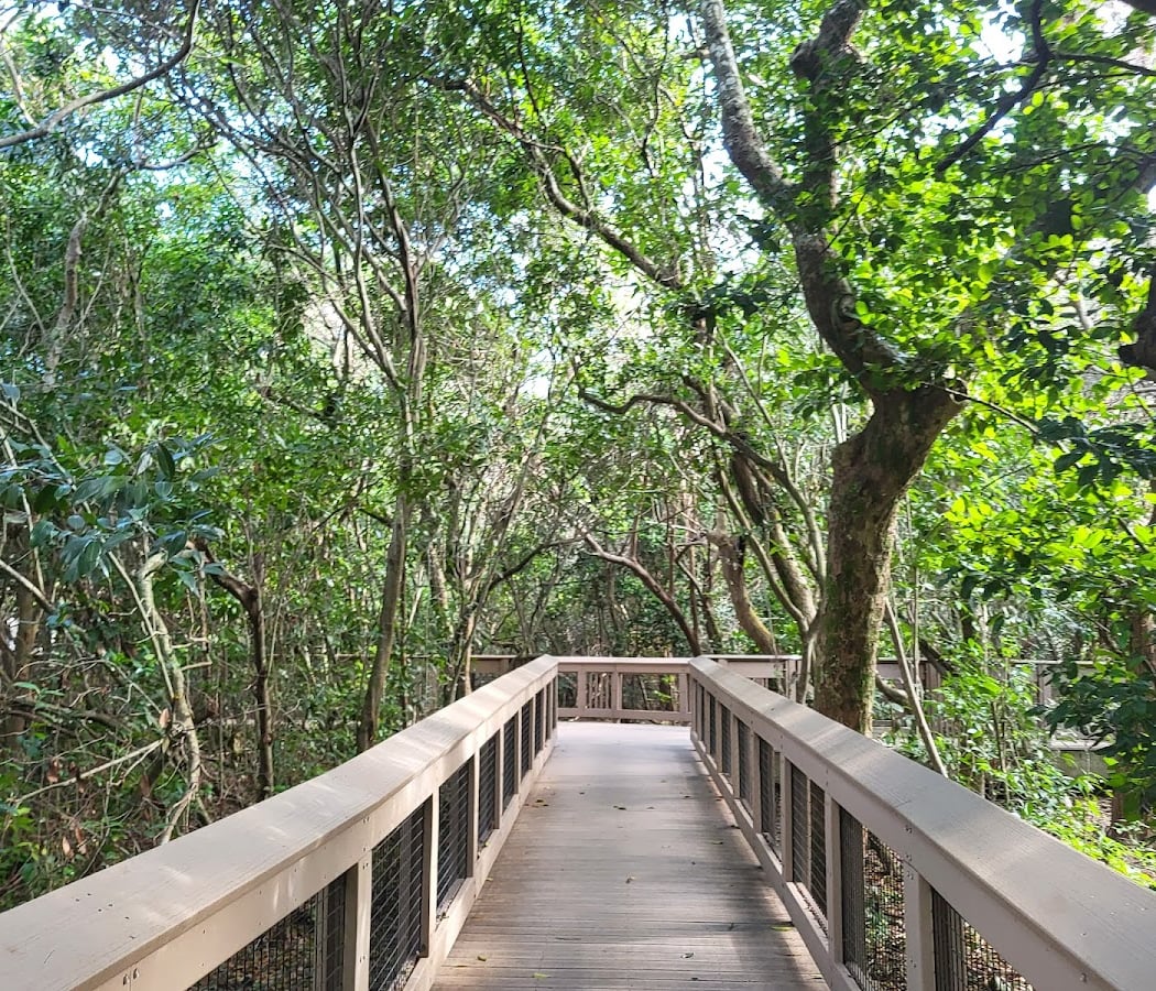 Gumbo Limbo Nature Center 2