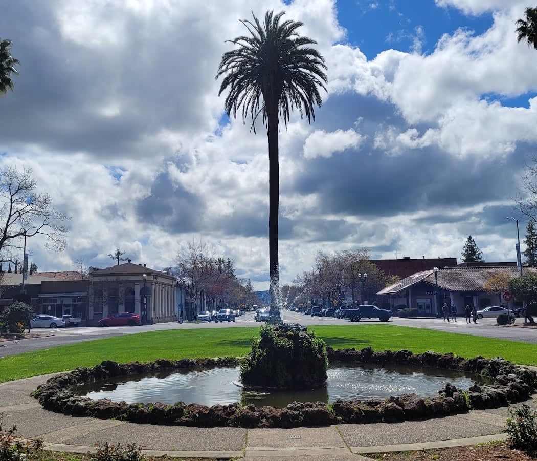 Festive Markets and Community Celebration 5
