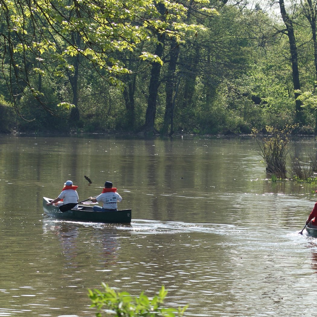 Anacostia Park 1