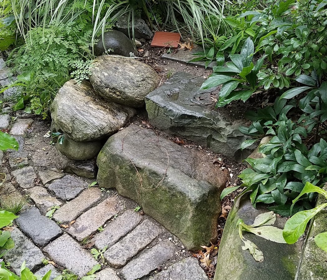Green Dome Garden 3