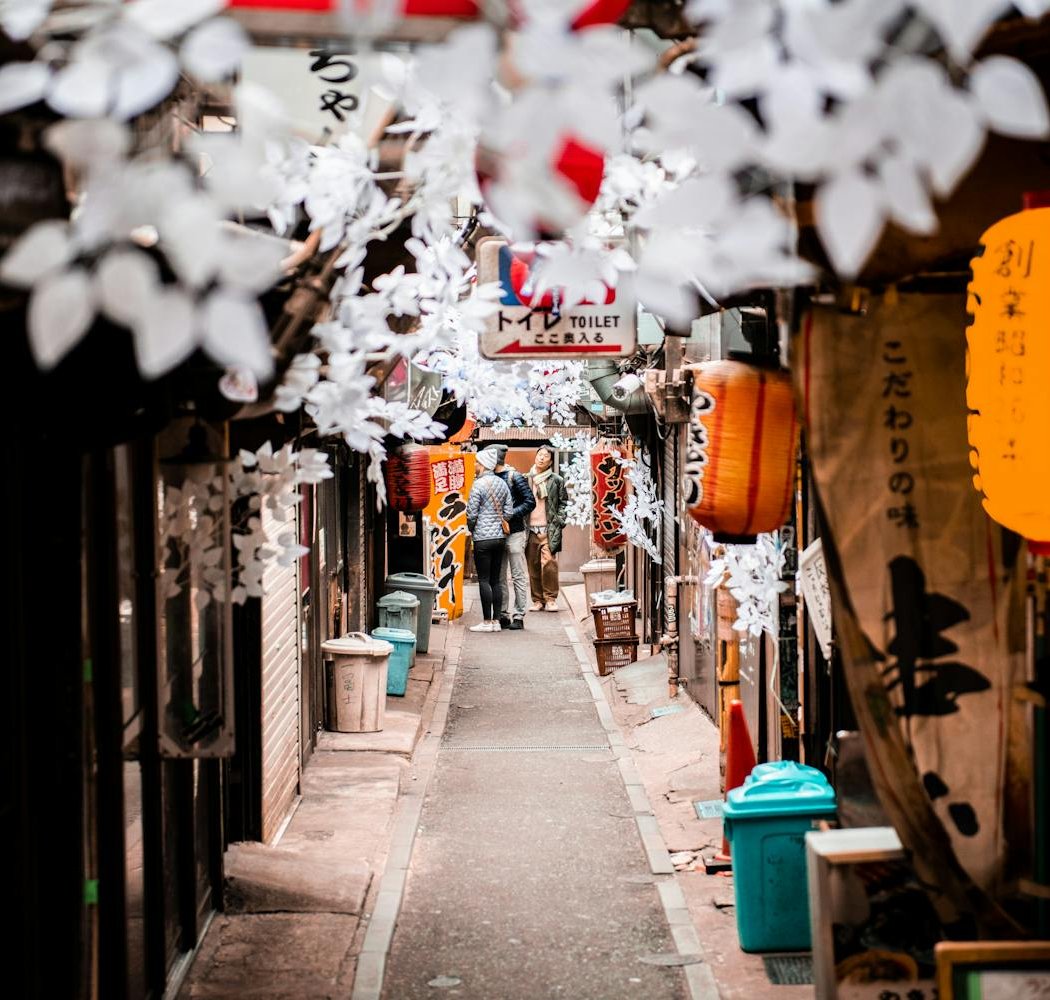 Omoide Yokocho Memory Lane 2